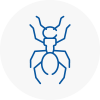 Ant Removals In Southend On Sea