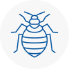 Bed Bug Extermination In Southend On Sea