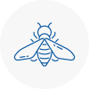 Bee Nest Removal Southend On Sea