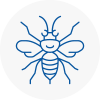 Southend On Sea Hornet Nest Removals