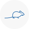 Mice Exterminators In Southend On Sea