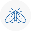 Moth Control Specialists In Southend On Sea
